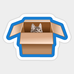 Tabby Kitten Peeking from Cardboard Box Sticker